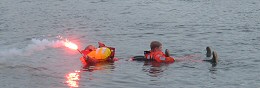 IMG 4130 260