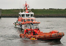 IMG 4138 260